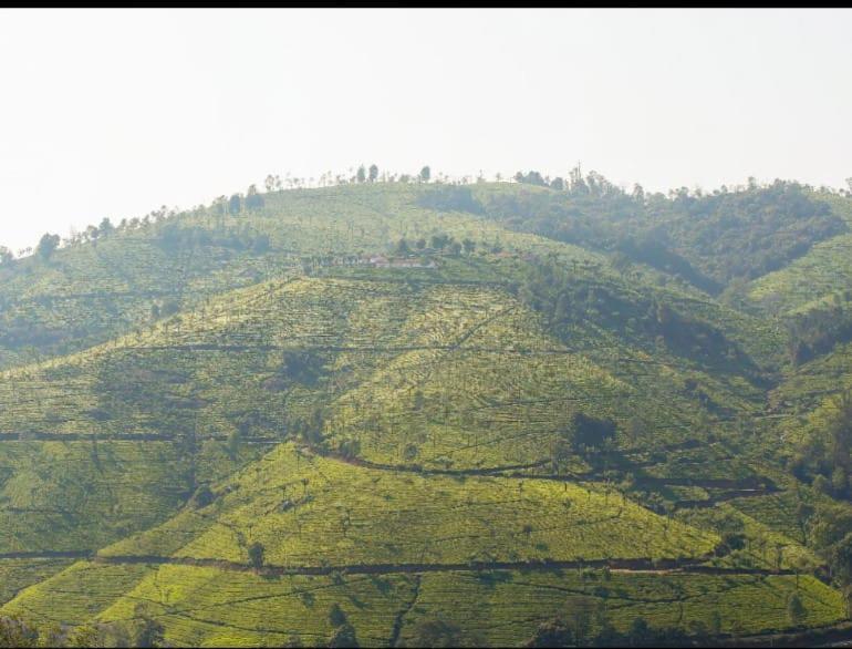 Vicky Wood House Villa Ooty Dış mekan fotoğraf